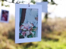 实拍+后期，阳光明媚的树枝上悬挂展示的婚礼照片
